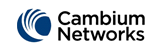 cambium