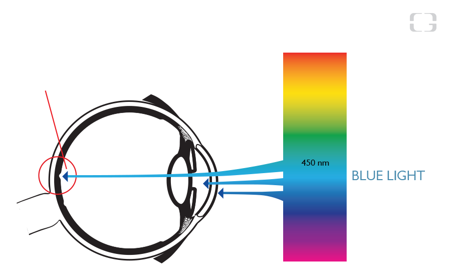 HEV Blue Light 2 - Fact and Data