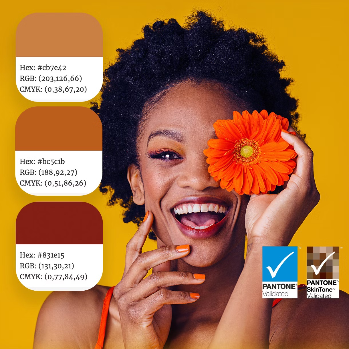 obrázek certifikace Pantone