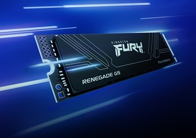 obrázek SSD Kingston FURY Renegade G5