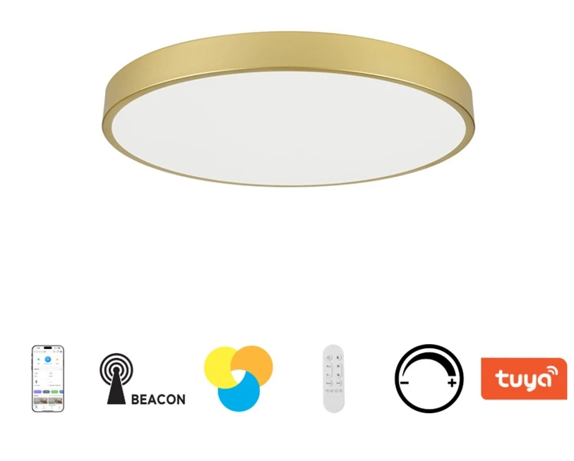 osvětlení IMMAX NEO LITE SEMPLICI SMART