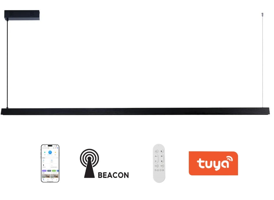 LED svítidlo IMMAX NEO MADEIRA SMART