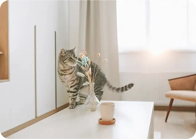 IP kamera Imou Ranger 2 Pro 5 Mpx detekce zvířat