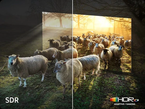Samsung Neo 8K Vision A HDR10+