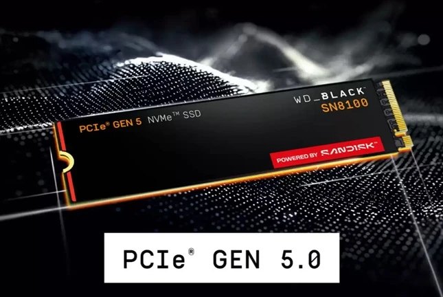 SSD disk WD Black SN8100