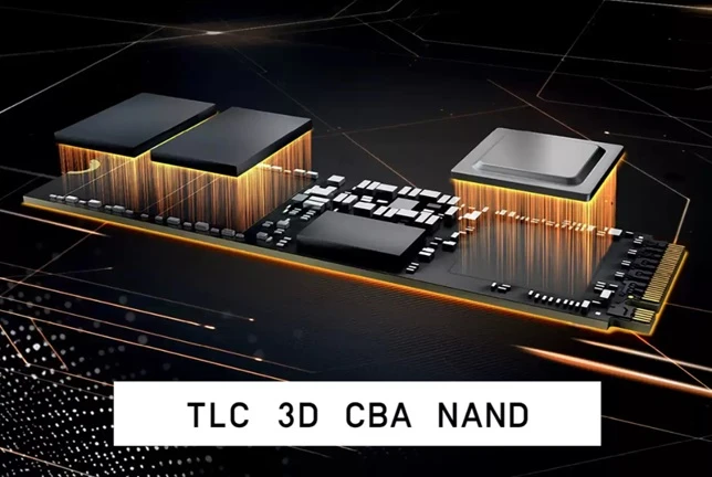 SSD disk WD Black SN8100