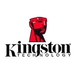 Spoznajte beštiálny výkon Kingston