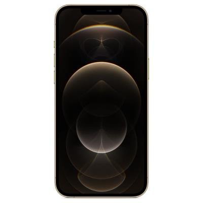 Apple Iphone 12 Pro Max 256gb Zlaty Mgde3cn A 100mega Distribution S R O