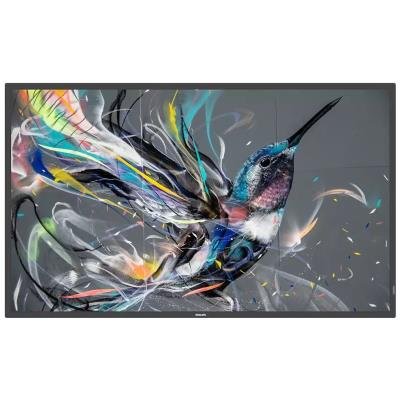 Philips 65BDL3511Q 64,5"