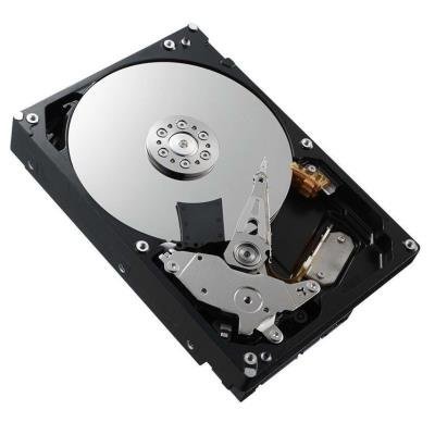 Dell 4TB SATA