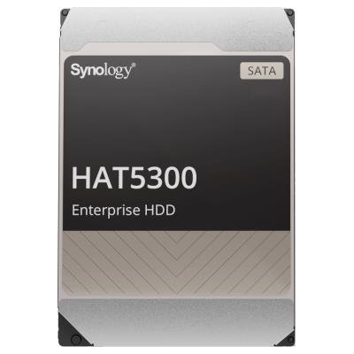 Synology HAT5300 4TB