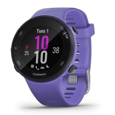 Sportovní hodinky Garmin Forerunner 45S Optic