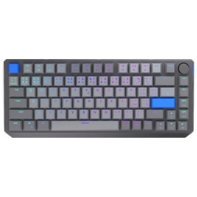 Endorfy mechanická klávesnice Thock V2 75% / bezdrátová / ARGB /  yellow sw. / USB / zmenšená / CZ/SK layout