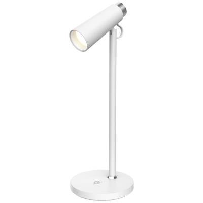 IMMAX TIT 12W bílo-stříbrná