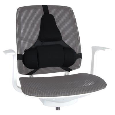 Fellowes Profesional