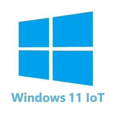 Windows 11 IoT Enterprise 2024 LTSC Entry Runtime licence