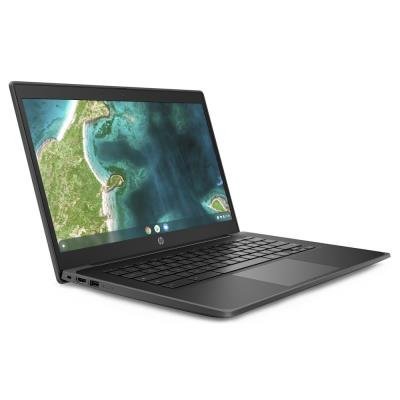 HP Fortis 14 G10