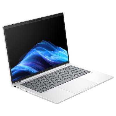 HP Elitebook 8 G1a/ Ryzen™ 7 250/ 32GB DDR5/ 1TB SSD/ Radeon™ Graphics/ 14" WUXGA,matný/ W11P/ stříbrný