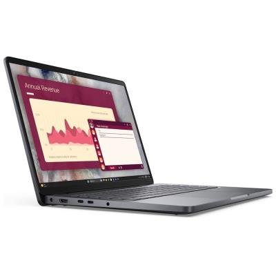 Dell Pro 14 PC14250