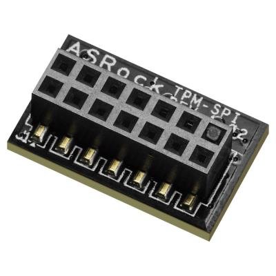 ASRock TPM-SPI