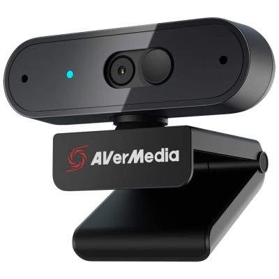 AverMedia PW310P
