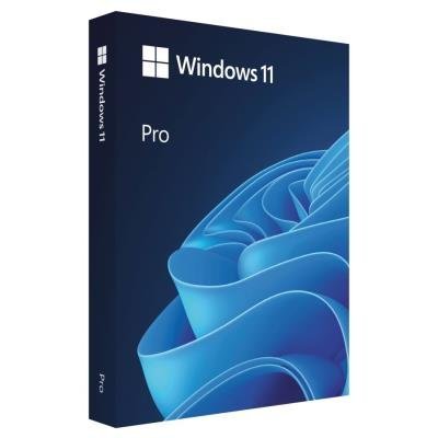 Microsoft Windows 11 Pro (krabice, USB)